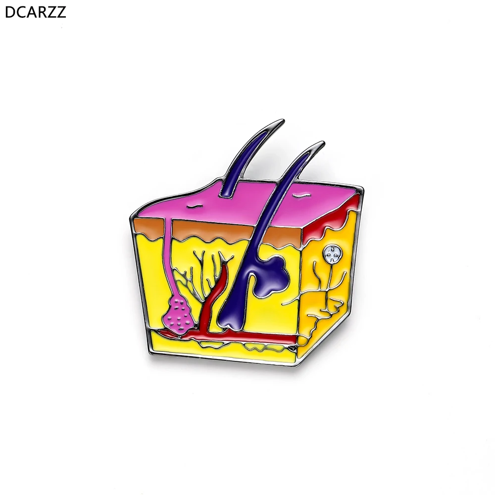 Skin Anatomy Pins Nurse Metal Lapel Dermatologist Pin Women Accessories Enamel Brooch Gift Men Vintage Medical Jewelry Wholesale
Skin Anatomy Pins Nurse Metal Lapel Dermatologist Pin Women Accessories Enamel Brooch Gift Men Vintage Medical Jewelry Wholesale
