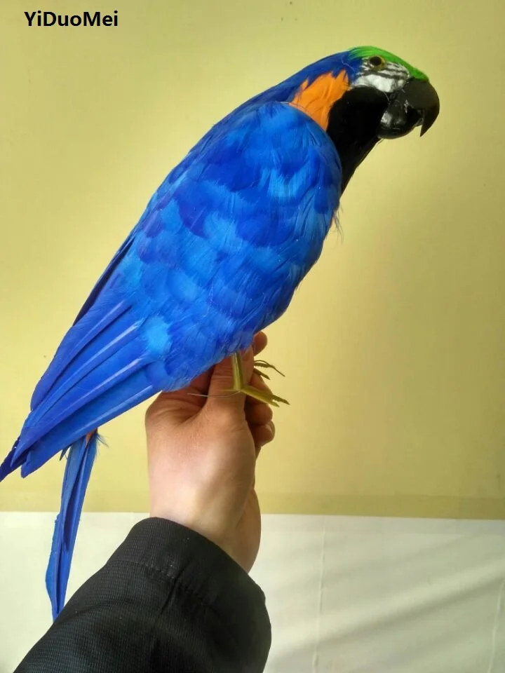 foam&feathers artificial bird large 42cm blue feathers parrot bird,pastoral handicraft,home garden decoration prop,gift a1719
foam&feathers artificial bird large 42cm blue feathers parrot bird,pastoral handicraft,home garden decoration prop,gift a1719