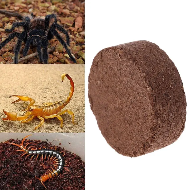 Reptile Coconut Fiber Substrate Bricks Natural Beddings Soil for Terrariums Fish Tank Supplies providing good nutri
Reptile Coconut Fiber Substrate Bricks Natural Beddings Soil for Terrariums Fish Tank Supplies providing good nutri