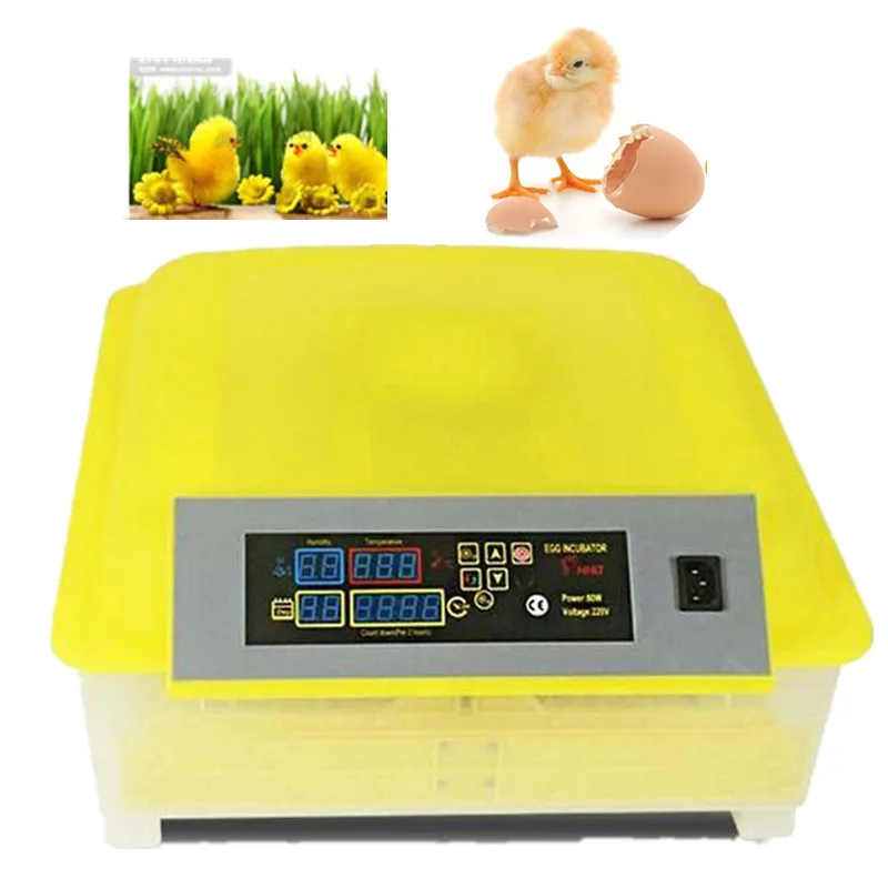 Hot sale Mini Industrial Brooder Hatchery Fully Automatic For Hatching 48 Chicken Duck Poultry Eggs
Hot sale Mini Industrial Brooder Hatchery Fully Automatic For Hatching 48 Chicken Duck Poultry Eggs