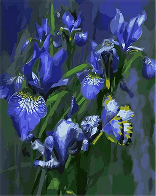 Frameless painting by numbers wall decor diy picture oil painting on canvas for home decor 4050 Phalaenopsis
Frameless painting by numbers wall decor diy picture oil painting on canvas for home decor 4050 Phalaenopsis