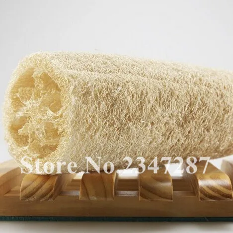 10pcs Loofah Luffa cylindrica angular towel gourd long luffa organic vegetable for home garden plants Easy to grow Free shipping 
10pcs Loofah Luffa cylindrica angular towel gourd long luffa organic vegetable for home garden plants Easy to grow Free shipping