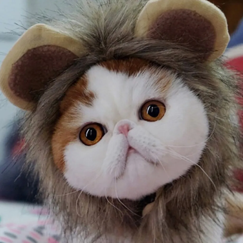 Funny Cute Pet Costume Cosplay Lion Mane Wig Cap Hat For Cat Pet Products Pet Accessories Party Decoration With Ear Pet Apparel
Funny Cute Pet Costume Cosplay Lion Mane Wig Cap Hat For Cat Pet Products Pet Accessories Party Decoration With Ear Pet Apparel