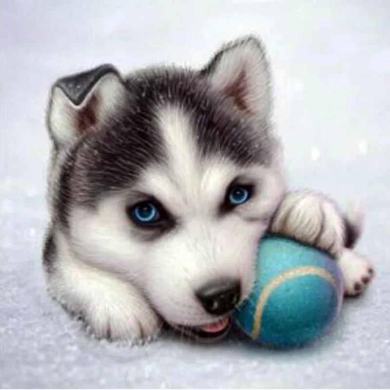 5d diy diamond embroidery Full diamond painting cross stitch animal Husky dog picture diamond mosaic pattern Home decor gift
5d diy diamond embroidery Full diamond painting cross stitch animal Husky dog picture diamond mosaic pattern Home decor gift