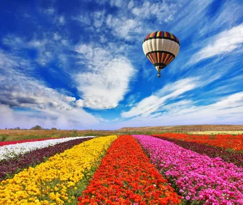 Scenery vinyl cloth blue sky color flowers balloon photography backdrops for wedding children photo studio portrait backgrounds
Scenery vinyl cloth blue sky color flowers balloon photography backdrops for wedding children photo studio portrait backgrounds