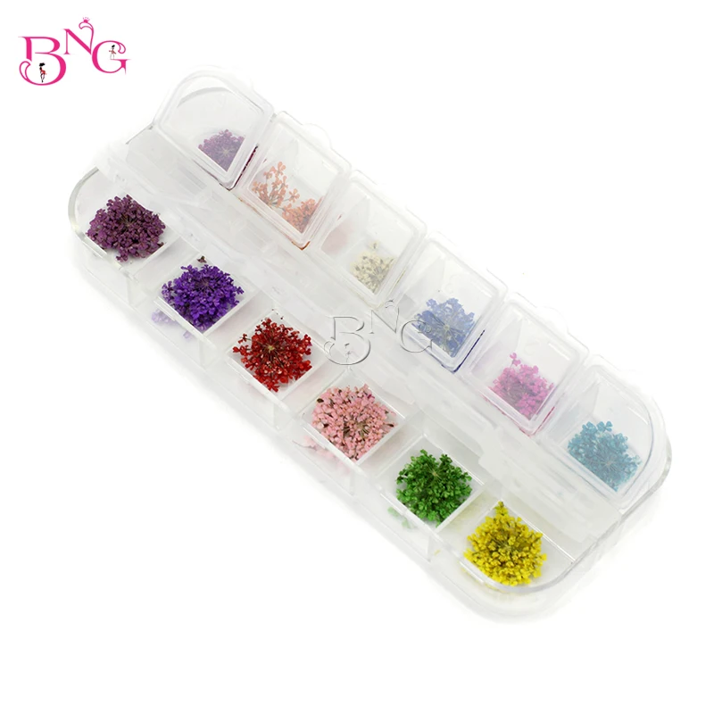 BNG 12color/set Nail Dried Flowers Nail Art Decoration DIY Tips Different Flowers Nails Rhinestones For Manicure Tools
BNG 12color/set Nail Dried Flowers Nail Art Decoration DIY Tips Different Flowers Nails Rhinestones For Manicure Tools
