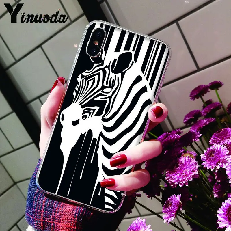 Animal Black white Zebra Stripe
