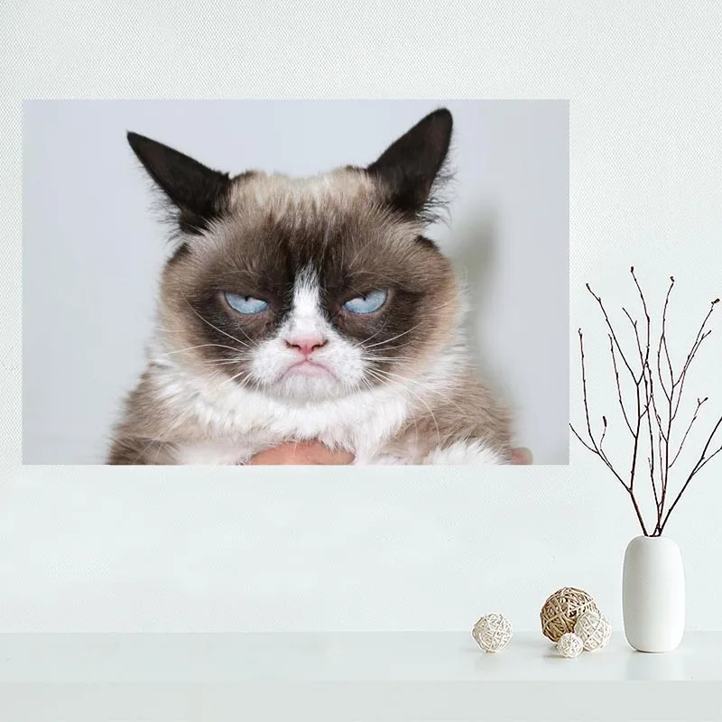 Fashion Classic Custom grumpy cat Canvas Painting Poster Home Decor Cloth Silk Fabric Wall Art Poster for Living Room
Fashion Classic Custom grumpy cat Canvas Painting Poster Home Decor Cloth Silk Fabric Wall Art Poster for Living Room