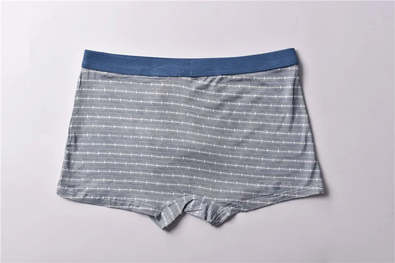 4PCS Lot Brand Men Boxers Underwear Male Boxer Short Striped Mens Bodysuit UnderPants Breathable Modal Boxershorts Plus Size 5XL 05
