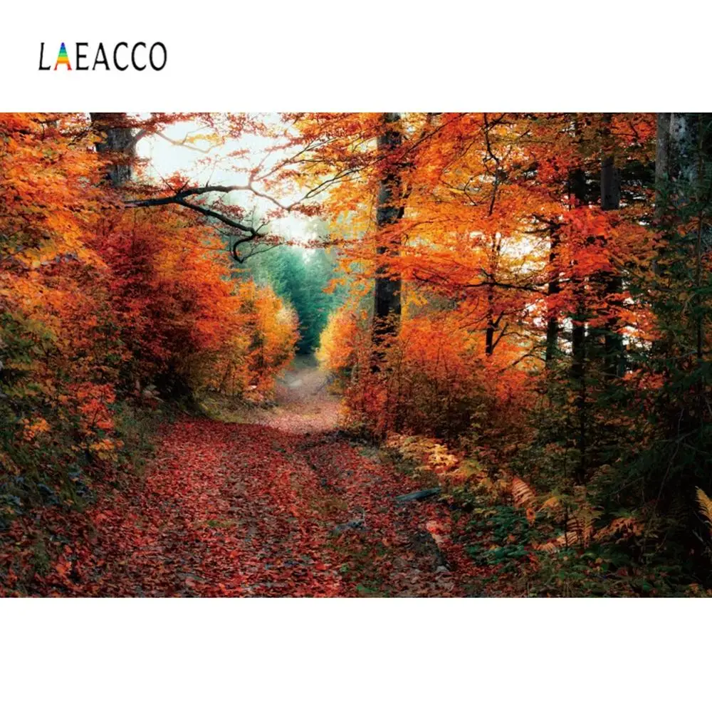 Laeacco Depressed Autumn Tree Scenery Lover Wedding Wallpaper Of Photography Backdrops Photographic Backgrounds For Photo Studio
Laeacco Depressed Autumn Tree Scenery Lover Wedding Wallpaper Of Photography Backdrops Photographic Backgrounds For Photo Studio