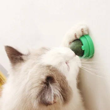 Natural Catnip Rotate Ball Snacks Indoor Cat Natural Snacks Licking Sugar Toy Kitten Healthy Treats Rotated Catnip Ball
Natural Catnip Rotate Ball Snacks Indoor Cat Natural Snacks Licking Sugar Toy Kitten Healthy Treats Rotated Catnip Ball