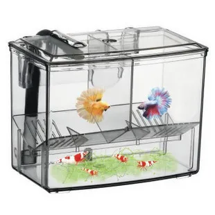 2 room hatch box suspend aquarium arcylic guppy baby small fish separation breeding box auto flow Fish Breeding Box House Tank
2 room hatch box suspend aquarium arcylic guppy baby small fish separation breeding box auto flow Fish Breeding Box House Tank