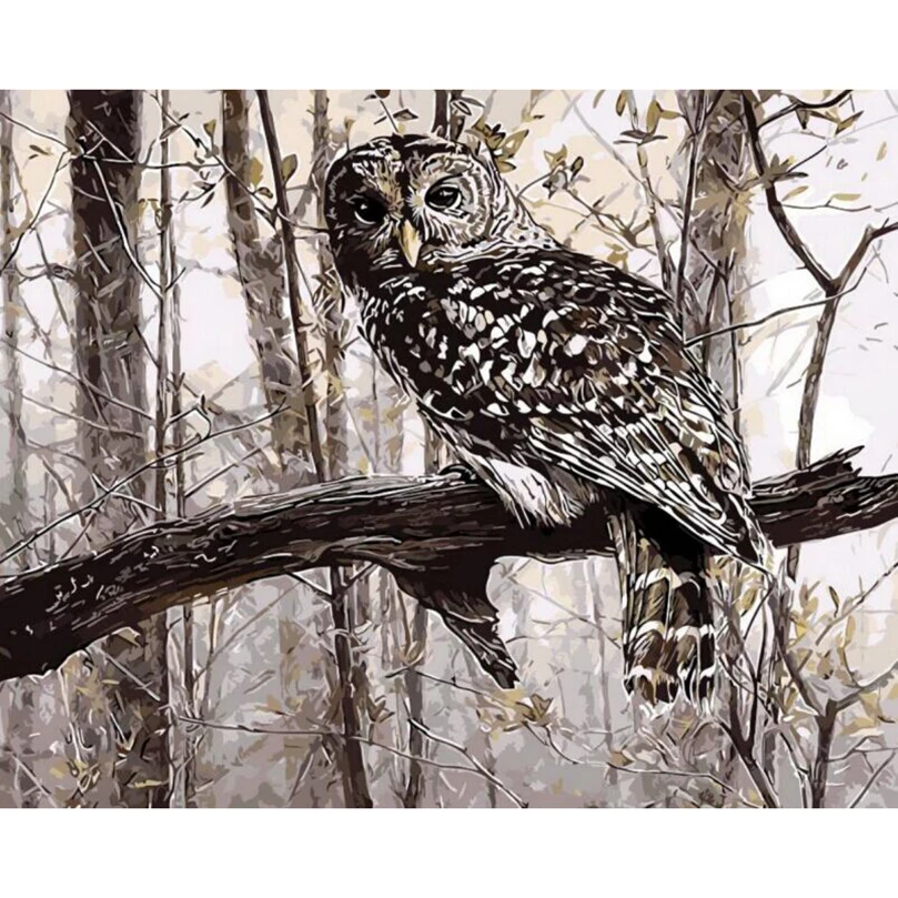 Painting By Numbers,Animal Series Oil Painting,Forest owl,Abstract DIY Oil Painting on canvas Acrylic Paint hand painted MK031
Painting By Numbers,Animal Series Oil Painting,Forest owl,Abstract DIY Oil Painting on canvas Acrylic Paint hand painted MK031