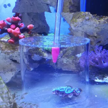 Aquarium LPS Coral Feeder Cover Reef Feeder Pipe Protect Brain Coral For Marine Reef Tank
Aquarium LPS Coral Feeder Cover Reef Feeder Pipe Protect Brain Coral For Marine Reef Tank