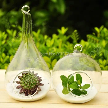 2pcs/lot,Transparent Terrarium Borosilicate Crystal Glass Hanging Vase, Round glass Table Vase, Home&Wedding Decoration
2pcs/lot,Transparent Terrarium Borosilicate Crystal Glass Hanging Vase, Round glass Table Vase, Home&Wedding Decoration