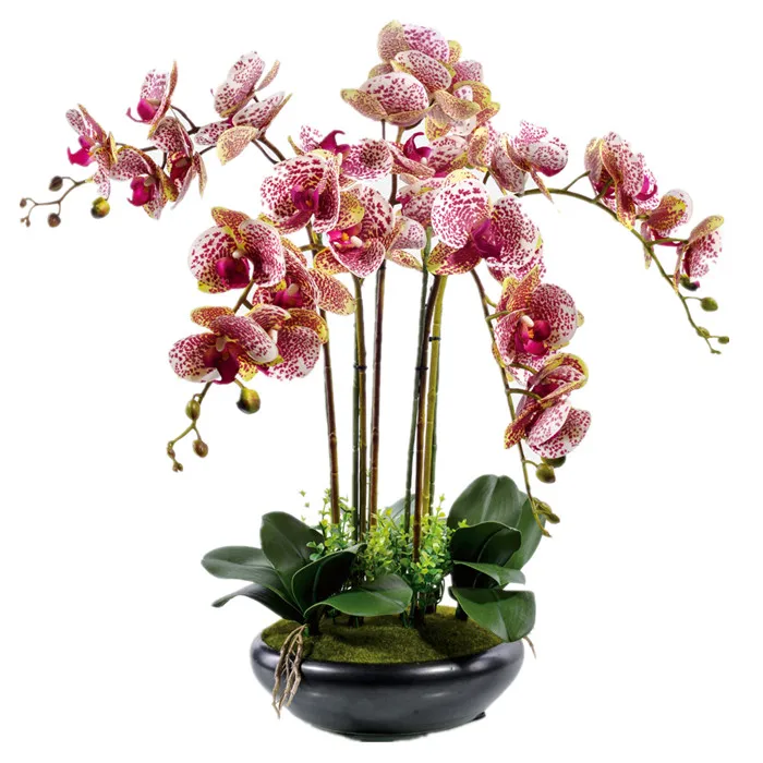 Real Touch Flower Bouquet Flower Arrangment Orchids With Leaves Wedding Party Fake Flower Decorative Event Flower Free Shipping
Real Touch Flower Bouquet Flower Arrangment Orchids With Leaves Wedding Party Fake Flower Decorative Event Flower Free Shipping