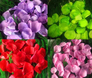 50g Beautiful Dried Preserved Flower Rose Roses Leaves Petals For Wedding Party Hotel Venue Decoration
50g Beautiful Dried Preserved Flower Rose Roses Leaves Petals For Wedding Party Hotel Venue Decoration