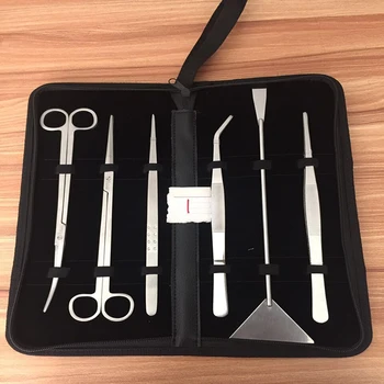 Hot Sale Straight Curved Tweezer Scissor Algae Scraper Stainless Steel Aquarium Plant Tools Scissors Tools Kit Set
Hot Sale Straight Curved Tweezer Scissor Algae Scraper Stainless Steel Aquarium Plant Tools Scissors Tools Kit Set