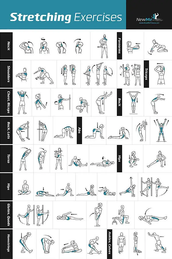 Full Body Stretch Chart