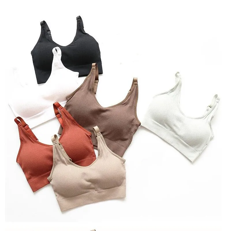 Free shipping explosion models bear vest no rims underwear running shockproof belt chest pad adjustable gathering active bra
Free shipping explosion models bear vest no rims underwear running shockproof belt chest pad adjustable gathering active bra