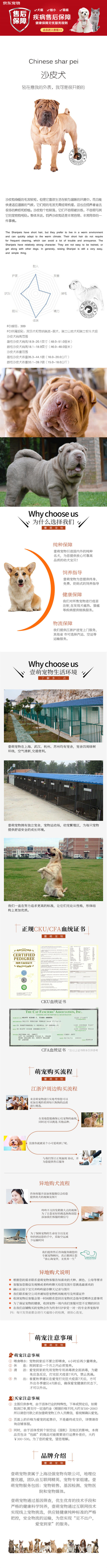 纯种沙皮 包健康好养.购买签协议.疫苗齐全