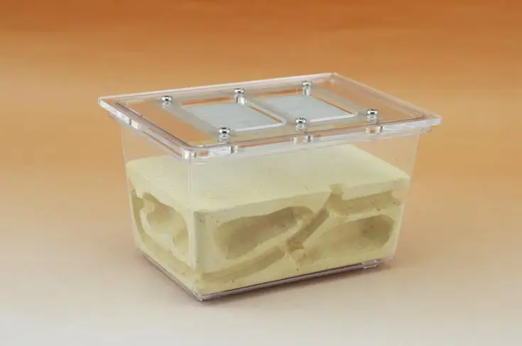 Plaster Ant Nest Acrylic Ant Farm Ants Queen House Insect Cage Anthills Pet Ant House Granja De Hormigas Hormiguero
Plaster Ant Nest Acrylic Ant Farm Ants Queen House Insect Cage Anthills Pet Ant House Granja De Hormigas Hormiguero