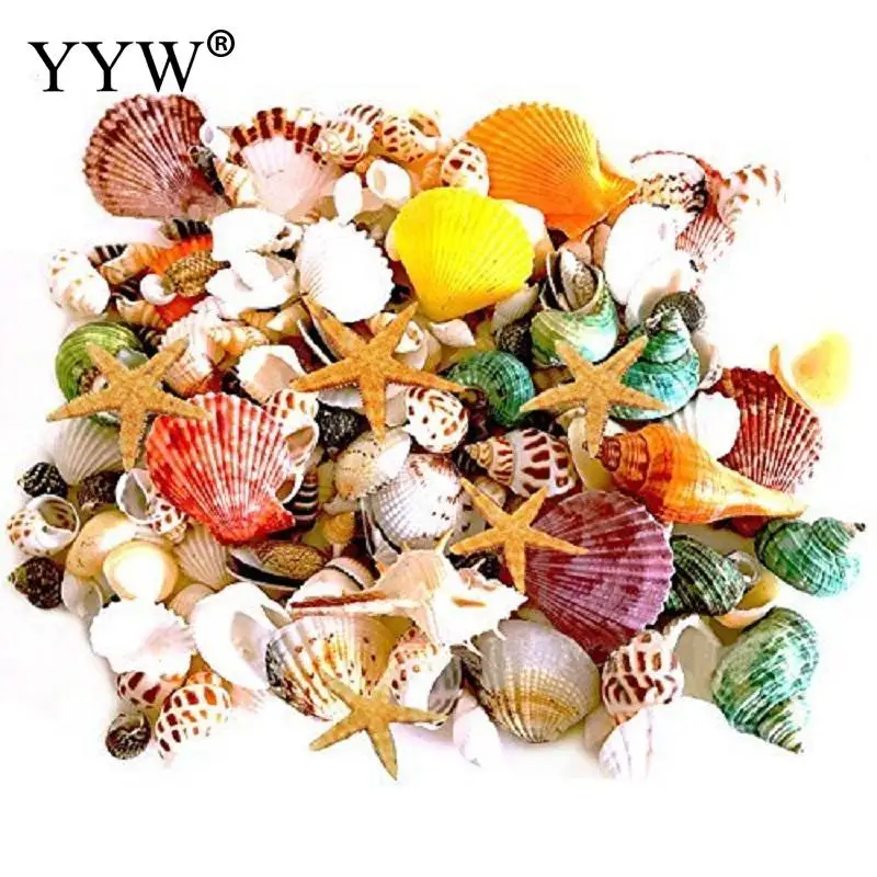 150pcs/Lot Mix Beach Sea Natural Shell Conch Starfish Beads Tribal Jewelery Craft Accessories Diy Making 30-80mm
150pcs/Lot Mix Beach Sea Natural Shell Conch Starfish Beads Tribal Jewelery Craft Accessories Diy Making 30-80mm