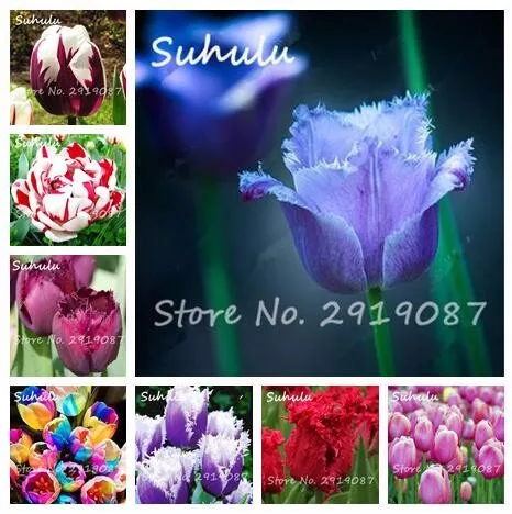 QQ20170606115549