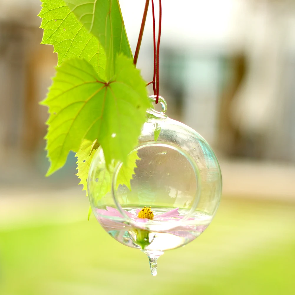 2 in 1 Creative Glass Flower Ball Vase Clear Hydroponics Hanging With Hook Candle Holder Terrarium Home Wedding Decoration
2 in 1 Creative Glass Flower Ball Vase Clear Hydroponics Hanging With Hook Candle Holder Terrarium Home Wedding Decoration