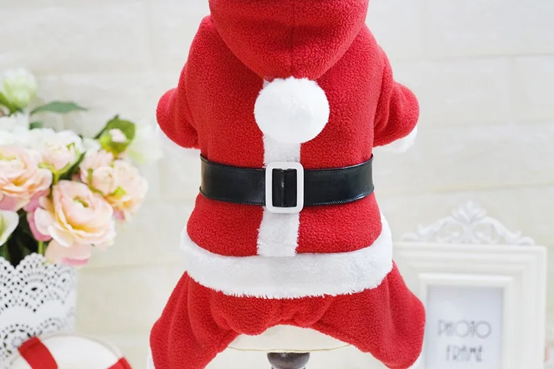 3494214380_109569990