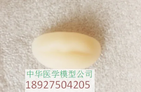 //img.alicdn.com/imgextra/i4/403496940/TB2CmDgspXXXXXwXXXXXXXXXXXX_!!403496940.png