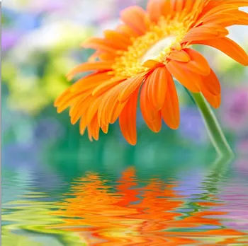 3D Orange Flower 60x60 DIY Diamond Painting Cross Stitch Wall Sticker Diamond Embroidery Square Crystal Mosaic Pictures Stickers
3D Orange Flower 60x60 DIY Diamond Painting Cross Stitch Wall Sticker Diamond Embroidery Square Crystal Mosaic Pictures Stickers