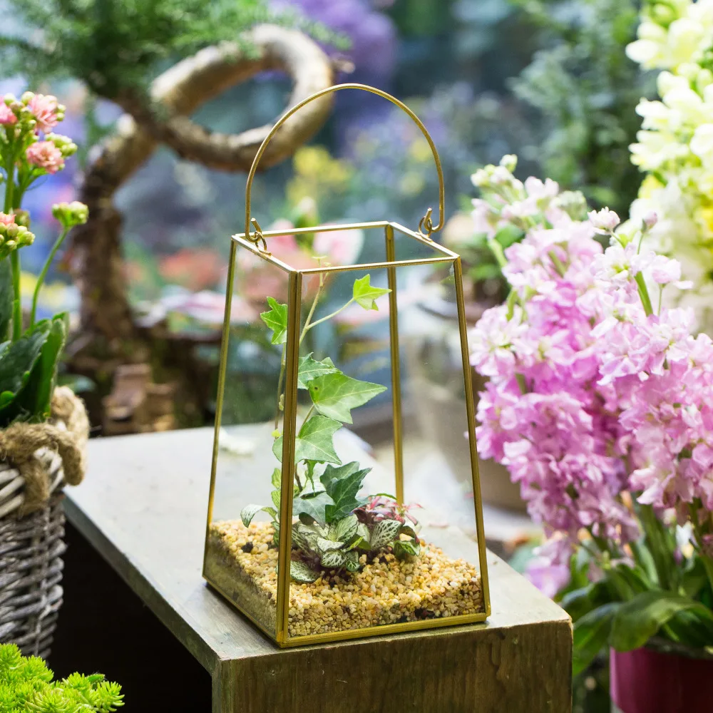 Handmade Brass Copper Gold Echelon Geometric Glass Terrarium Holder Lantern Succulent Plants Hanging Wall Flowerpot with Handle
Handmade Brass Copper Gold Echelon Geometric Glass Terrarium Holder Lantern Succulent Plants Hanging Wall Flowerpot with Handle