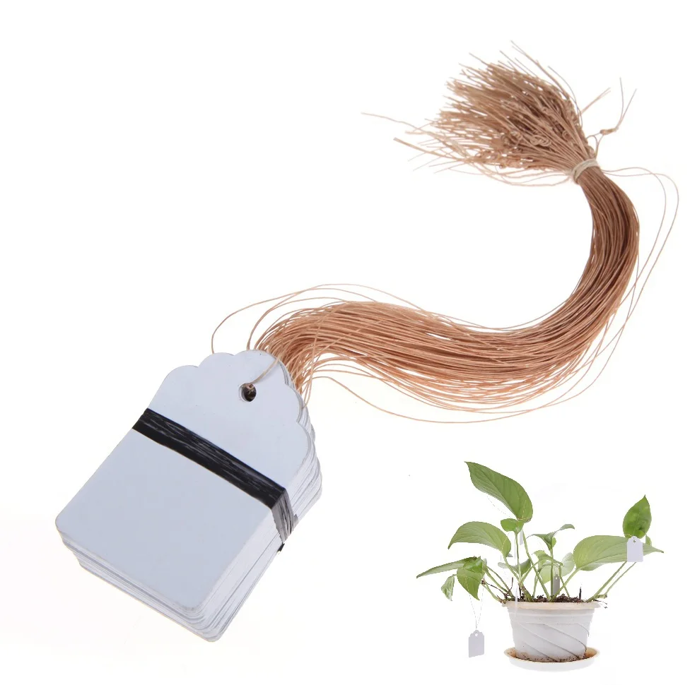 100Pcs Plastic Plant Labels Flower Nursery Pot Marker Hanging Tags for Garden Decoration White Garden Ornaments
100Pcs Plastic Plant Labels Flower Nursery Pot Marker Hanging Tags for Garden Decoration White Garden Ornaments