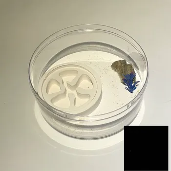 1PCS Small round ant nest Acrylic pet birthday gift desk decoration new specials s farm house
1PCS Small round ant nest Acrylic pet birthday gift desk decoration new specials s farm house