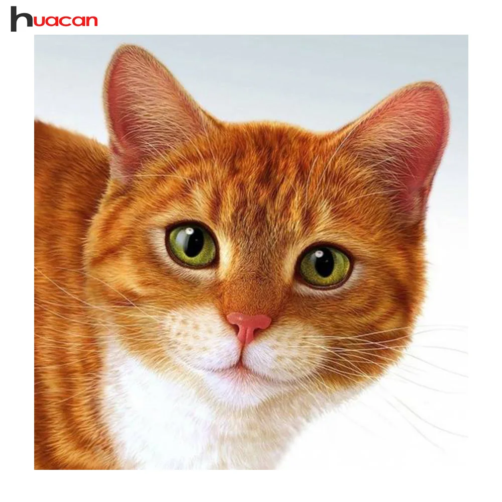 Huacan Diamond Painting Cat Pattern 5D Diy Full Square Diamond Embroidery Rhinestones Home Decor New Year Gift Needlework Arts
Huacan Diamond Painting Cat Pattern 5D Diy Full Square Diamond Embroidery Rhinestones Home Decor New Year Gift Needlework Arts