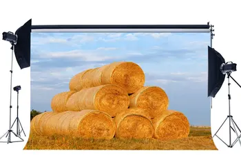 Autumn Farmland Backdrop Straw Hay Bale Green Trees Wheat Field Blue Sky White Cloud Nature Fall Harvest Photography
Autumn Farmland Backdrop Straw Hay Bale Green Trees Wheat Field Blue Sky White Cloud Nature Fall Harvest Photography