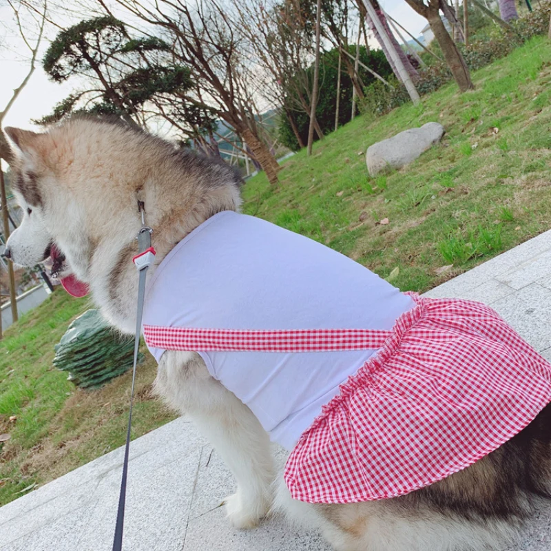 Summer Dog Dress Big Dog Clothes Cat Poodle Bichon Schnauzer Pug Golden Retriever Alaskan HUSKY Labrador Pet Dress
Summer Dog Dress Big Dog Clothes Cat Poodle Bichon Schnauzer Pug Golden Retriever Alaskan HUSKY Labrador Pet Dress