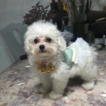 Teddy dog Princess dress vintage court gauze lace pearls shaggy bear pet costume dog dress clothes dresses for small dogs
Teddy dog Princess dress vintage court gauze lace pearls shaggy bear pet costume dog dress clothes dresses for small dogs