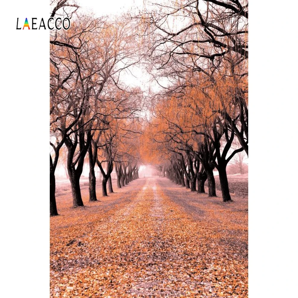 Laeacco Tree Beside Road Yellow Leaves Autumn Scenic Photography Backgrounds Customized Photographic Backdrops For Photo Studio
Laeacco Tree Beside Road Yellow Leaves Autumn Scenic Photography Backgrounds Customized Photographic Backdrops For Photo Studio