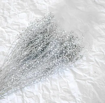 1 Bundle 40g Preserved Dried Thlaspi Silver Bell For Craft Gift Material Accessory Decoration Flower Arranging DIY
1 Bundle 40g Preserved Dried Thlaspi Silver Bell For Craft Gift Material Accessory Decoration Flower Arranging DIY