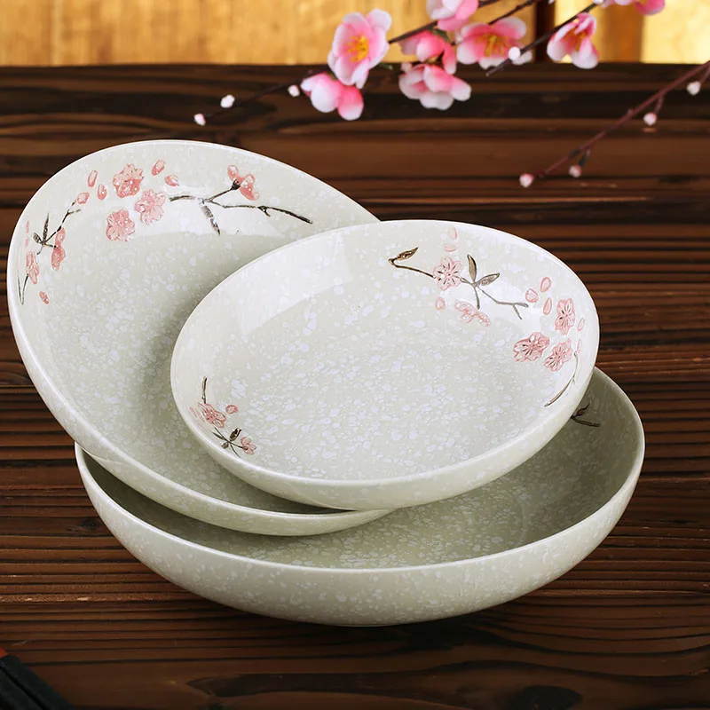 Ceramic Porcelain Plate Dish Dinnerware with Floral Pattern Japanese Style Multiple Colour Options
Ceramic Porcelain Plate Dish Dinnerware with Floral Pattern Japanese Style Multiple Colour Options