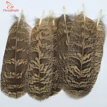 Wholesale 10pcs High Quality Natural Pheasant Feathers Tail Feathers 25-30cm/10-12inch Plume Decoration Diy Accessories Crafts
Wholesale 10pcs High Quality Natural Pheasant Feathers Tail Feathers 25-30cm/10-12inch Plume Decoration Diy Accessories Crafts
