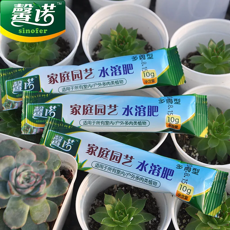 5x! 10g high efficiency water soluble fertilizer flower bonsai fruits vegetables Succulent Plants Bonsai slow release fertilizer
5x! 10g high efficiency water soluble fertilizer flower bonsai fruits vegetables Succulent Plants Bonsai slow release fertilizer