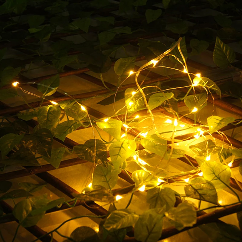 2m USB LED String Light Waterproof LED Copper Wire String Brightness Holiday Outdoor Fairy Lights Christmas Party Wedding Decor
2m USB LED String Light Waterproof LED Copper Wire String Brightness Holiday Outdoor Fairy Lights Christmas Party Wedding Decor