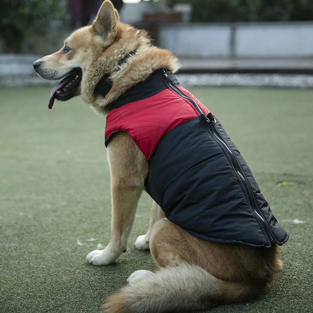 Pet Dog Clothes Coat Jacket Warm Soft Cotton French Bulldog Clothing For Small Medium Large dogs pets clothing ropa para perro
Pet Dog Clothes Coat Jacket Warm Soft Cotton French Bulldog Clothing For Small Medium Large dogs pets clothing ropa para perro