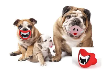 100 pcs Durable Safe Funny Squeak Dog Toys Devil's Lip Sound Dog Playing/Chewing Puppy Make The Dog Happy
100 pcs Durable Safe Funny Squeak Dog Toys Devil's Lip Sound Dog Playing/Chewing Puppy Make The Dog Happy