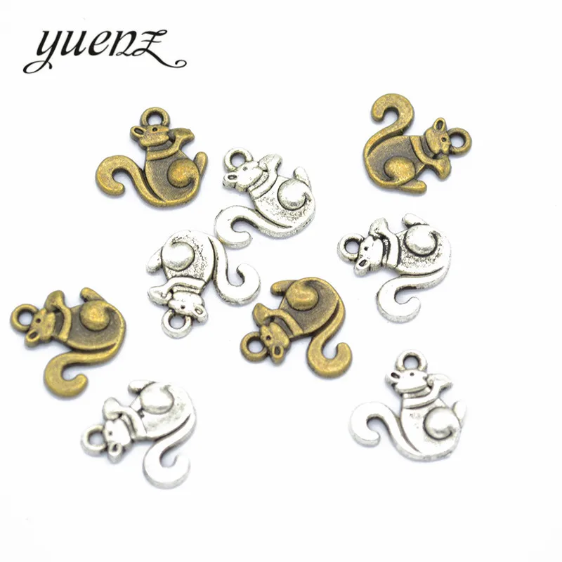 

YuenZ 30 pcs Small Squirrel Charms Antique Pendants for Jewelry Making Necklace Bracelet Accessories Findings 13*13mm D9267
