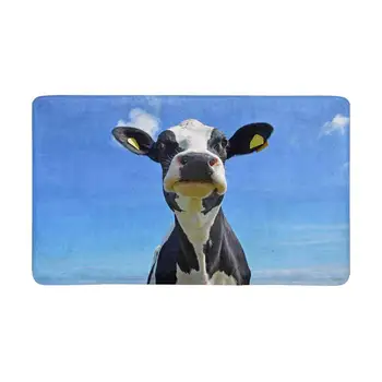 Funny Animals Crazy Cow Indoor Entrance Doormat Non Slip Door Mat Entrance Rugs Home Decor
Funny Animals Crazy Cow Indoor Entrance Doormat Non Slip Door Mat Entrance Rugs Home Decor