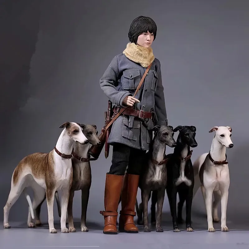 Greyhound Carve Statue Simulation Animal 1/6 Solider Collar+Chain Figurine Resin Art&Craft Home Decoration Accessories L3404
Greyhound Carve Statue Simulation Animal 1/6 Solider Collar+Chain Figurine Resin Art&Craft Home Decoration Accessories L3404